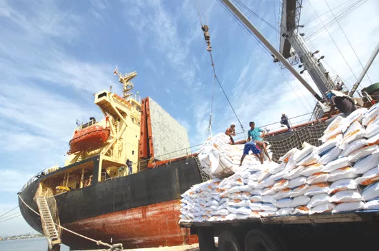 Petani Bantah Produksi Menurun, Pemerintah Malah Impor Beras