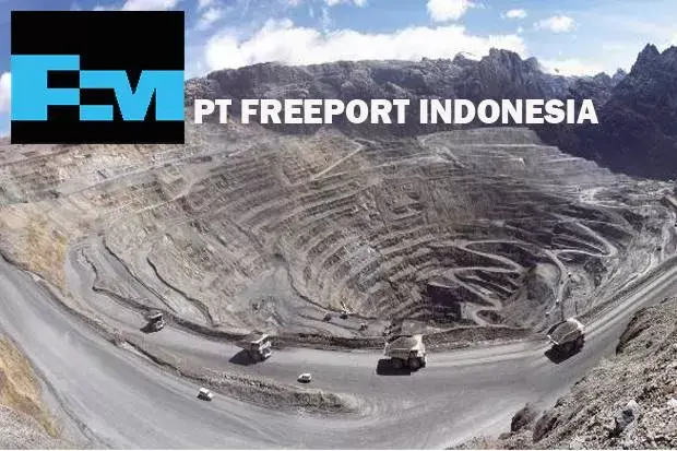 Kalangan Aktivis Dukung DPR Bentuk Pansus Freeport