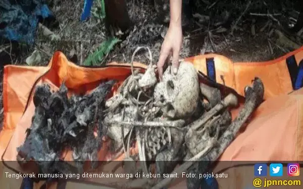 Penemuan Tengkorak Manusia Gegerkan Warga