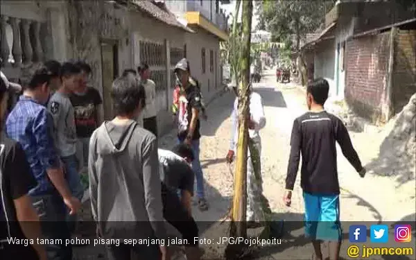 Jengkel, Warga Tanam Pohon Pisang Sepanjang Jalan Rusak