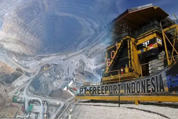 Pemerintah Dinilai Bohong Soal Divestasi 51 Persen Saham Freeport