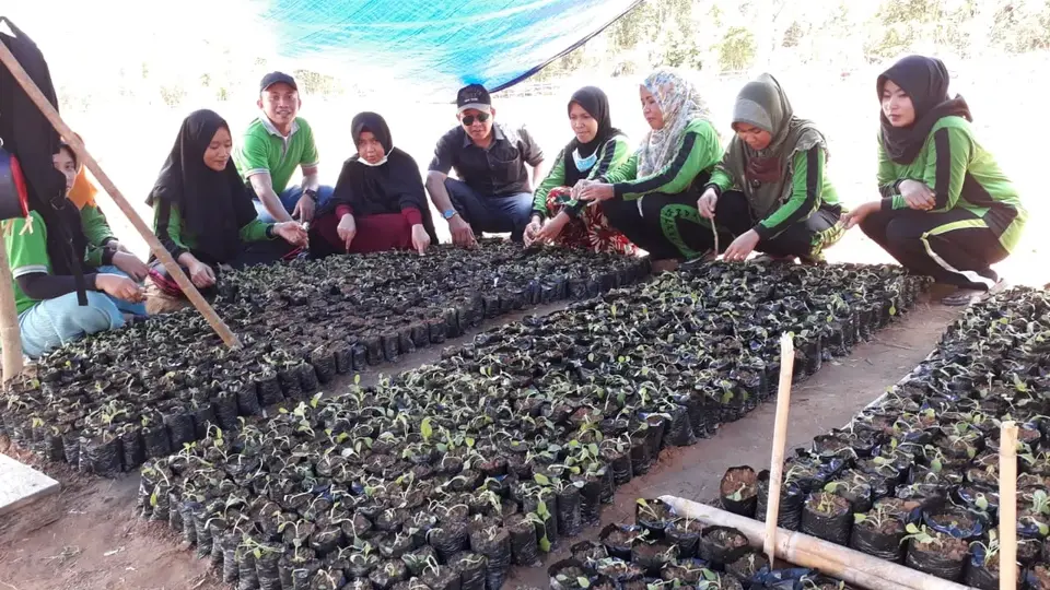 Dinas Pertanian Konkep Galakan Program Demplot