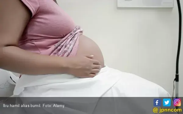 Ingin Cepat Hamil? Konsumsi Jenis Makanan Ini