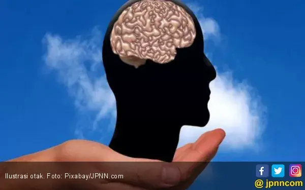Lima Cara Membuat Otak Anda Lebih Tajam