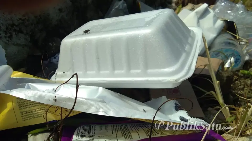 DLH Busel Minim Fasilitas Bersihkan Sampah