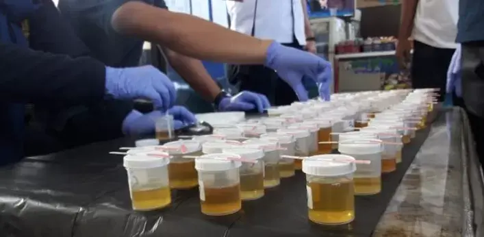 Syarat Mutlak Diangkat Jadi PNS, 410 CPNS Busel Wajib Tes Urine