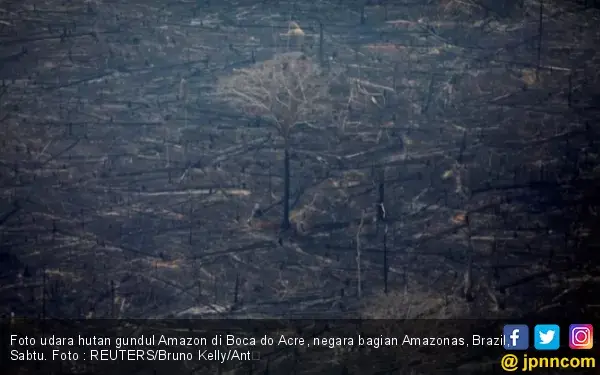 Menlu Larang Para Dubes Libur Selama Ada Kebakaran Hutan