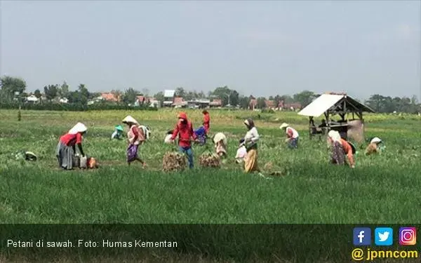 Kementan Terus Sosialisasikan Peluang Pendanaan untuk Petani