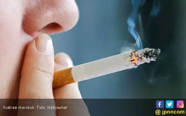 Waspada, Perokok Pasif Bisa Hirup 8 Senyawa Kimia Berikut