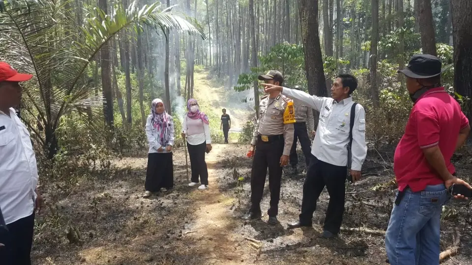 Hutan Pinus Samparona Terbakar