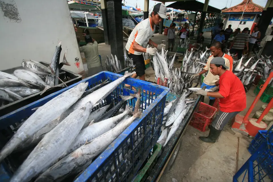 Dewan Minta Pemkab Busel Susun Perda terkait Cold Storage Sampolawa
