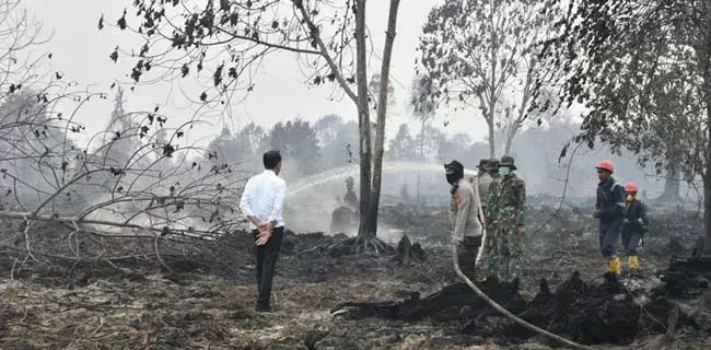 Jokowi Yakin Pembakaran Hutan di Riau Terorganisir