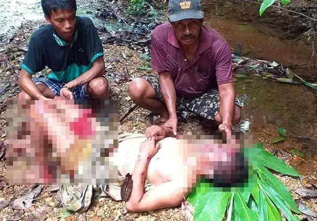 Diamuk Beruang, Pencari Ikan di Kampar Kiri Riau Luka Parah