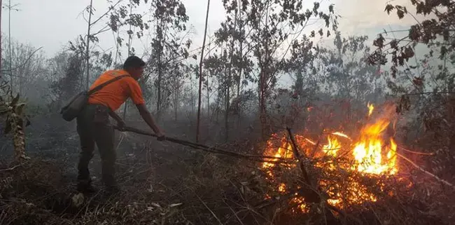 Warga Kalbar Gugat Negara Tekait Karhutla Yang Tak Kunjung Bisa Diatasi
