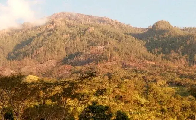 20 Ha Hutan di Lereng Gunung Agung Ludes Terbakar
