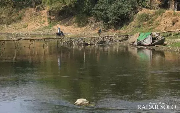 Kemarau Panjang, Sungai Bengawan Solo Tercemar Berat