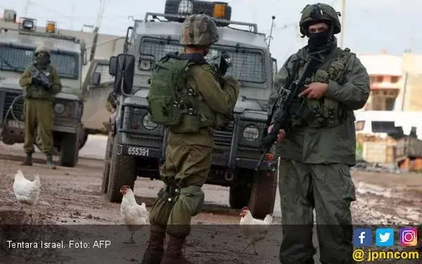 Tentara Israel Halangi Petani Palestina Memanen Almond