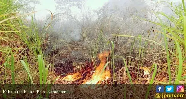 Kebakaran Hutan Hancurkan Puluhan Bangunan di Australia, Diduga Disengaja