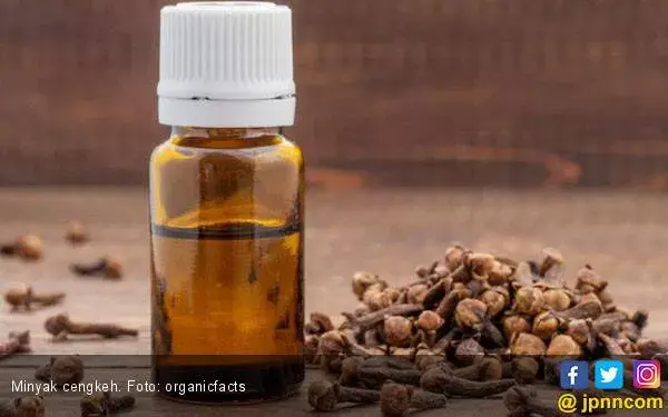 Kenali Delapan Manfaat Luar Biasa dari Minyak Cengkeh