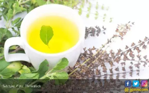 Ketahui Lima Manfaat Luar Biasa Teh Tulsi