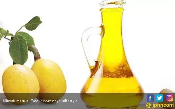 Kenali Sembilan Manfaat Minyak Marula untuk Kecantikan