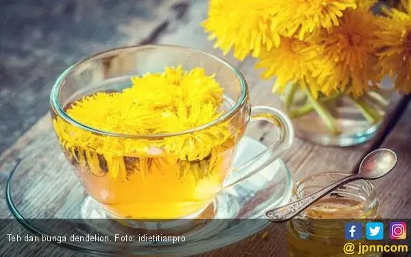 Kenali Delapan Khasiat Teh Dendelion untuk Kesehatan