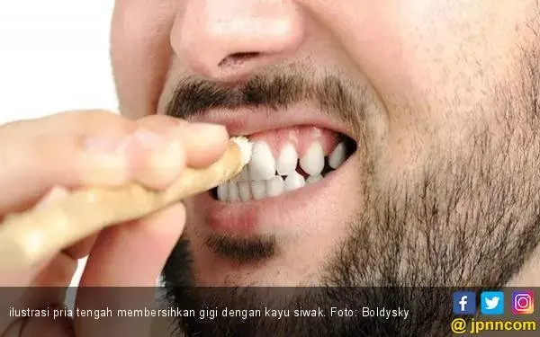 Empat Manfaat Siwak untuk Kesehatan Gigi dan Mulut