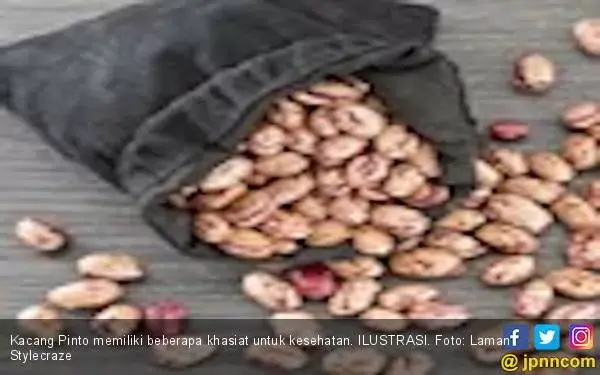 Ketahuilah, Ini Khasiat Kacang Pinto untuk Kesehatan