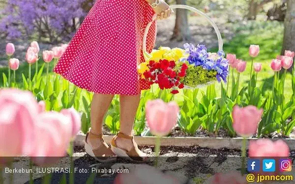 Ternyata Seperti Ini Manfaat Berkebun Bagi Kesehatan