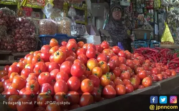 Minum Jus Tomat Bisa Turunkan Tekanan Darah?