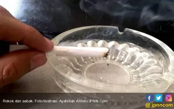 Mencari Solusi dari Meluasnya Jejak Beracun Asap Rokok