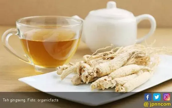 Raih Manfaat Kesehatan dari Teh Ginseng, Bisa Obati Kanker
