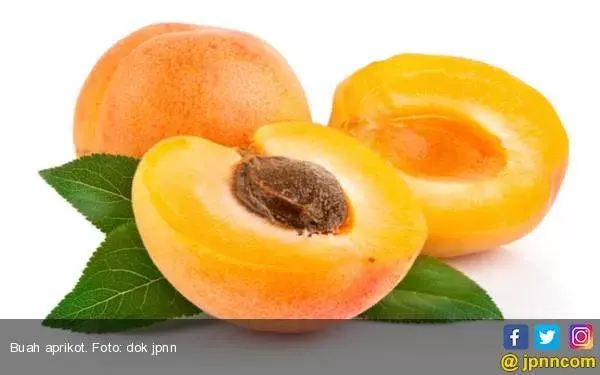 Manfaat Aprikot Kering untuk Kesehatan