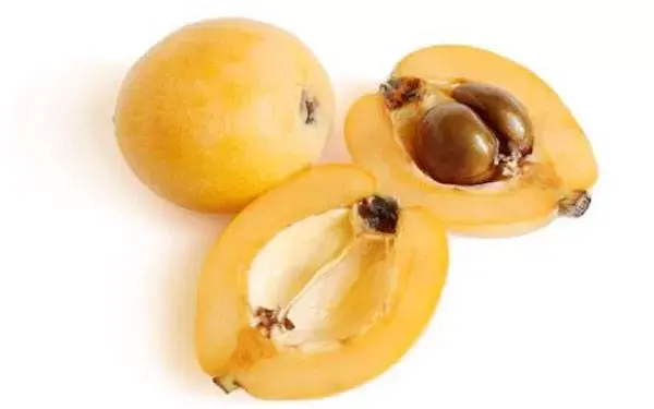 Kaya Akan Mangan dan Kalsium, Ini Manfaat dari Loquat