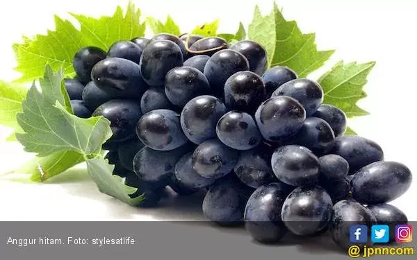 Kaya Antioksidan, Anggur Hitam Cegah Kanker dan Diabetes