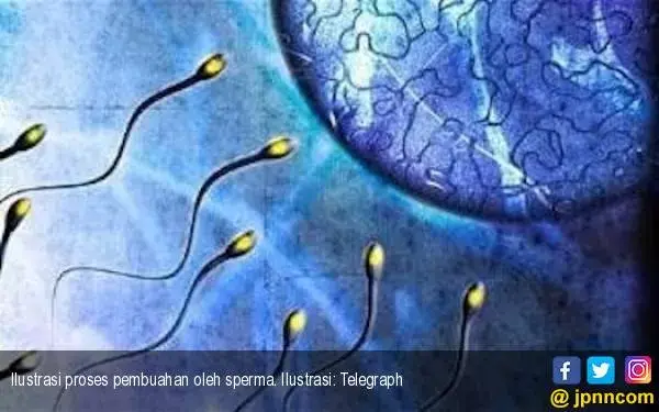 Makan Kacang Bisa Meningkatkan Kualitas Sperma?