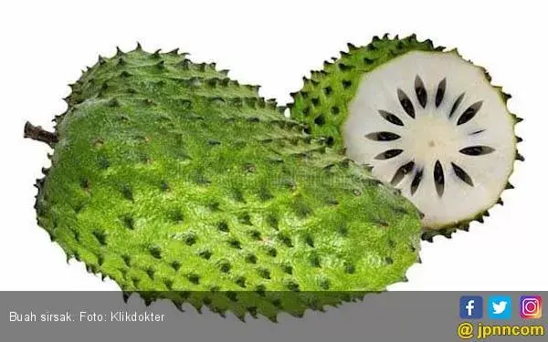 Buah Sirsak Ampuh Mencegah Kanker?