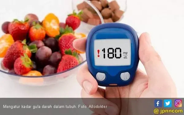 Empat Cara Agar Gula Darah Tetap Stabil