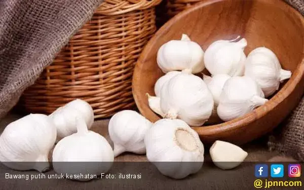Bawang Putih untuk Menunda Pikun