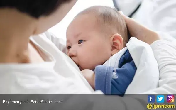Benarkah Ukuran Payudara Bisa Memengaruhi Jumlah Produksi ASI?