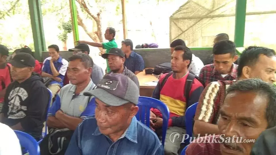 77 Ribu Bibit Ayam Kampung Super Bakal Disalurkan