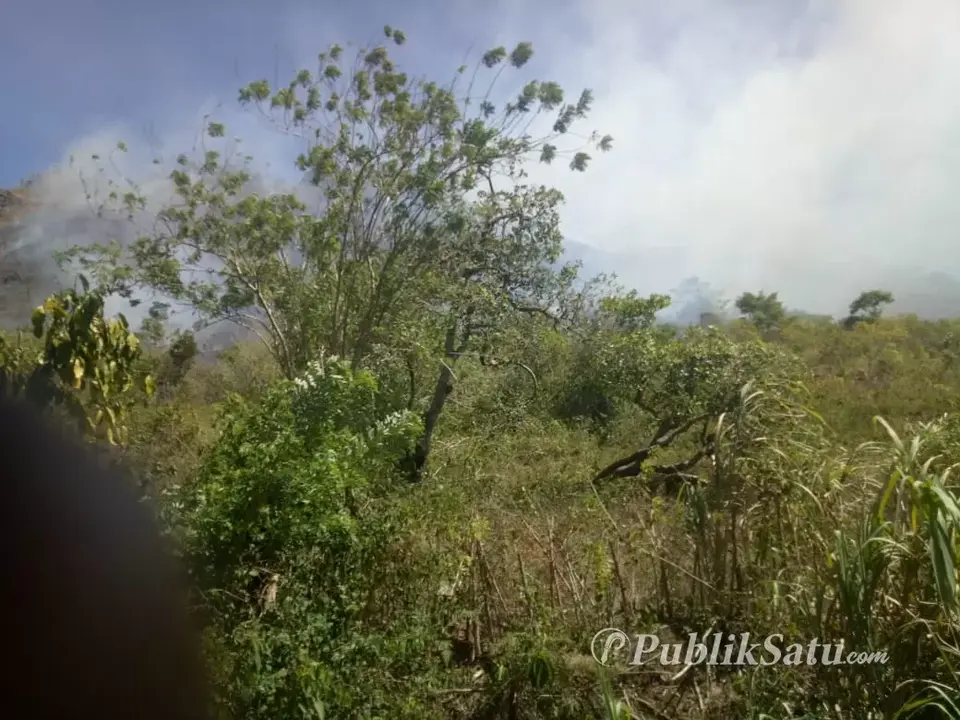 Bukit Teletabis Buton Kembali Terbakar
