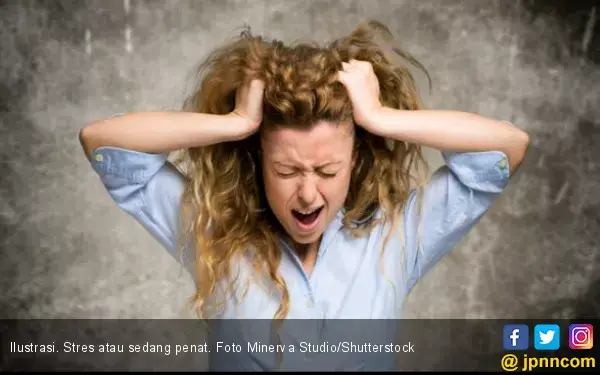 Penyakit Tifus Rentan Memicu Stres?