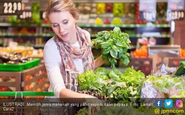 Bernarkah Daun Pepaya Bisa Atasi Demam Berdarah?