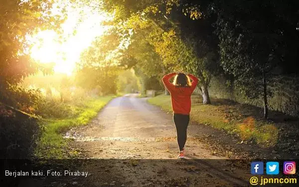 Rajin Jalan Kaki Bikin Anda Tambah Kreatif?
