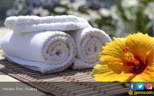 Kapan Terakhir Mencuci Handuk Mandi? Waspada Bakteri