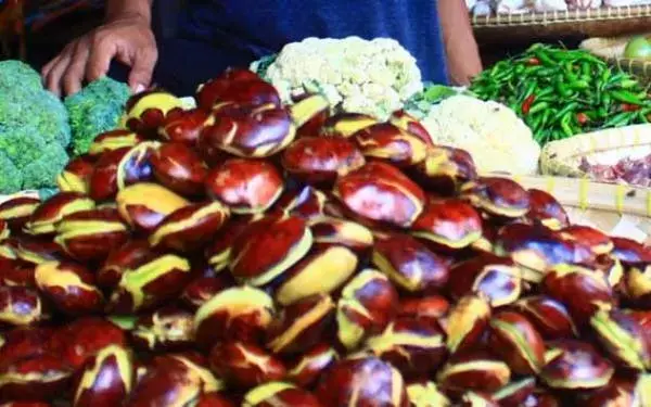 Benarkah Jengkol Bisa Mengatasi Penyakit Jantung?