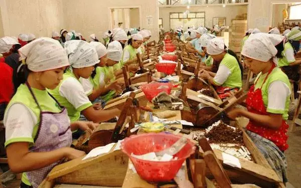 Cukai Rokok Bakal Naik, Buruh Terancam Kena PHK Massal