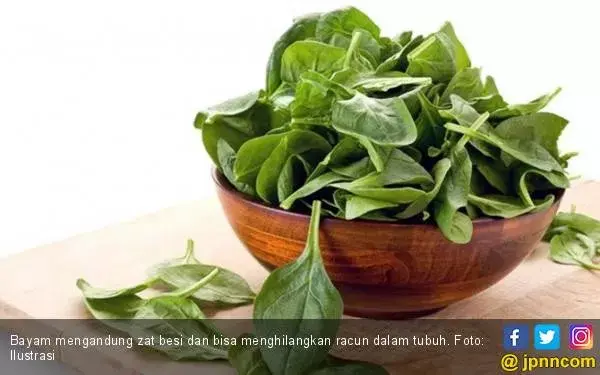 Tujuh Sumber Antioksidan Terbaik untuk Tubuh