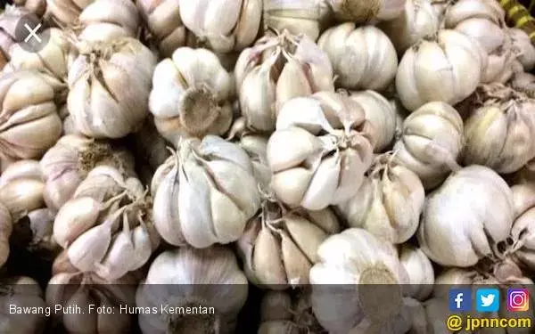 Benarkah Bawang Putih Bisa Turunkan Kadar Kolesterol Tinggi?